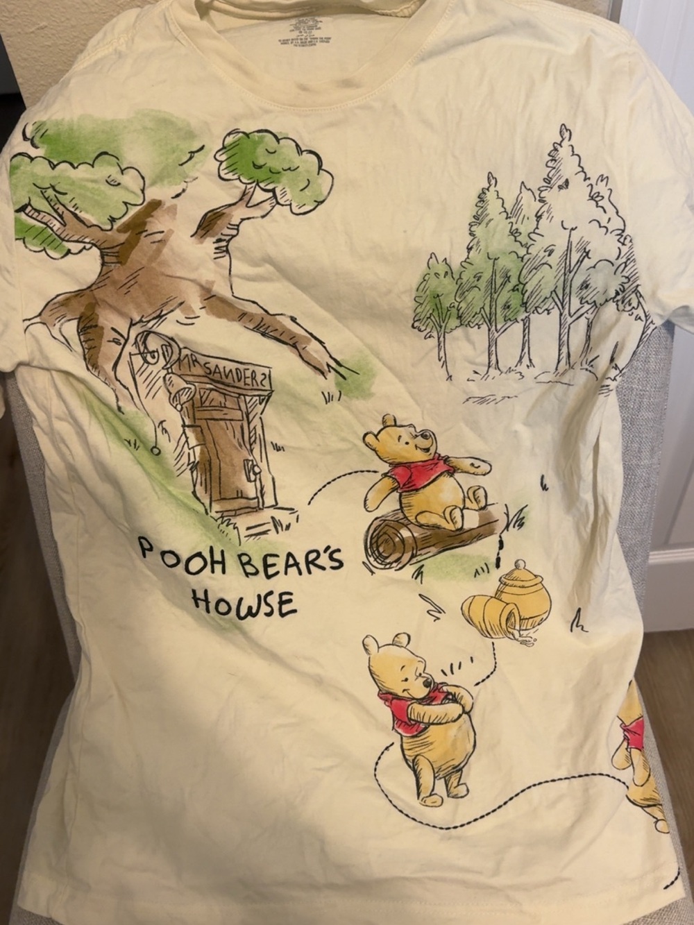 Winnie the Pooh Graphic Tee Walt Disney World Small